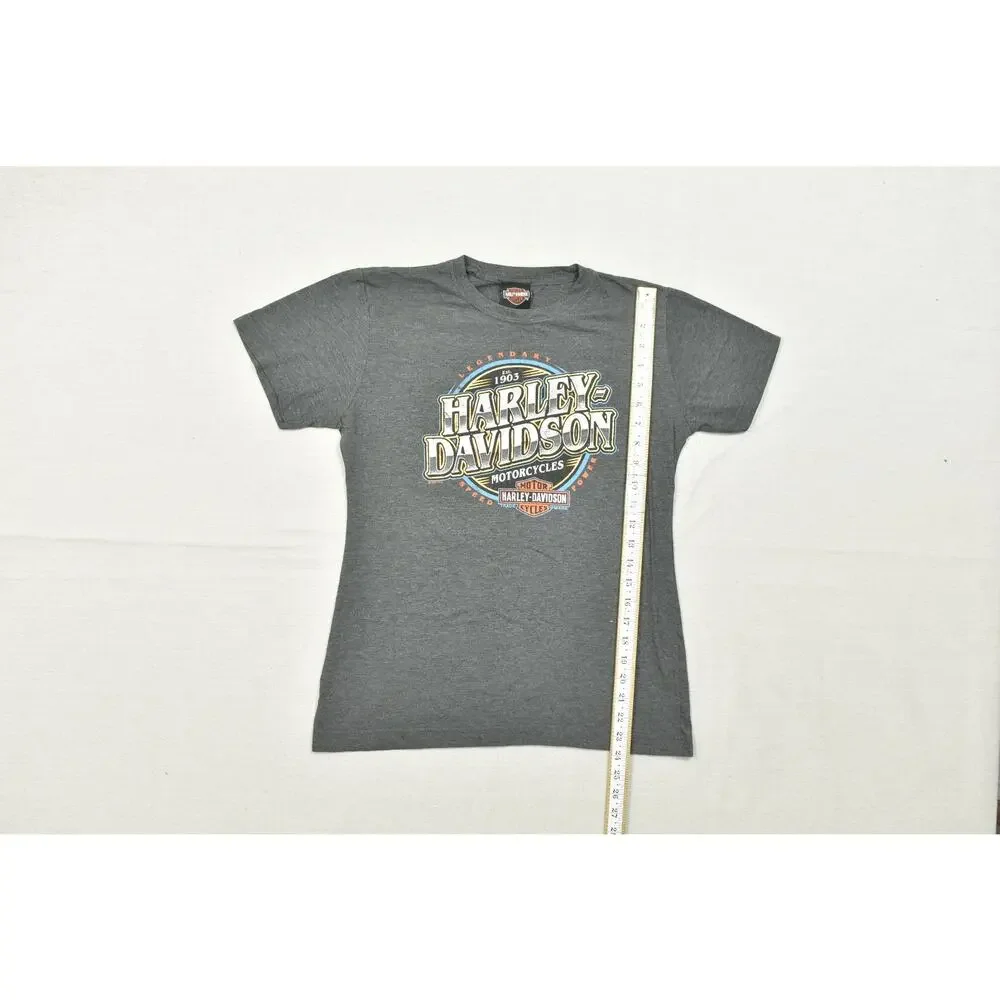 Harley-Davidson Highland Somerset PA Graphic T-Shirt Gray Heather Size M
